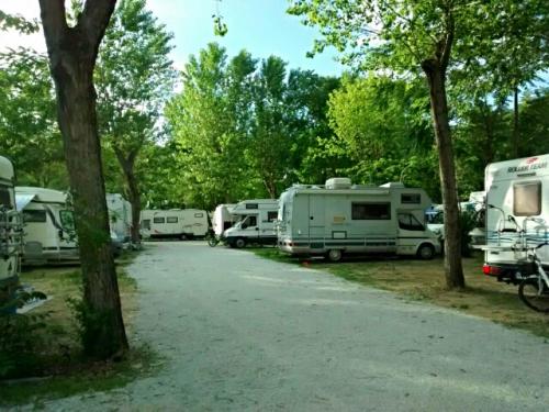 Area Camper Cesenatico - 🐾 Vacanza a quattro zampe? Assolutamente sì! 🐶  Lascia che i tuoi cuccioli ti accompagnino in un'avventura indimenticabile  presso la nostra Area Camper di Cesenatico 🚐 ❤️ L'accoglienza